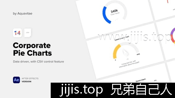 CSV驱动企业饼图模板自定义数据动画适配AE CC2020-兄弟自己人